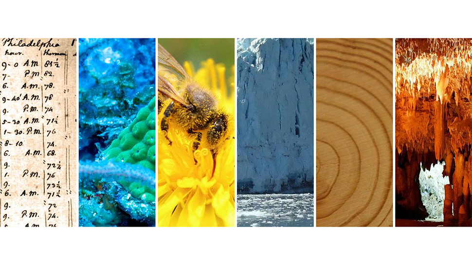 Proxies In Paleoenvironmental Reconstructions