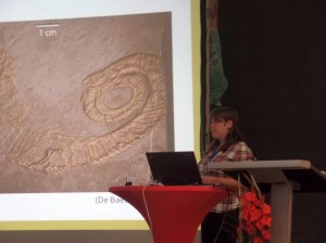 Student presenting at the German Palaeontological Society meeting in Dresden, 2016